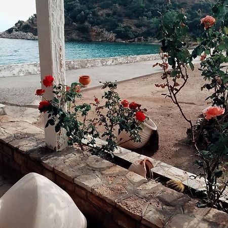 Villa Glyfos Kerveli Eksteriør billede
